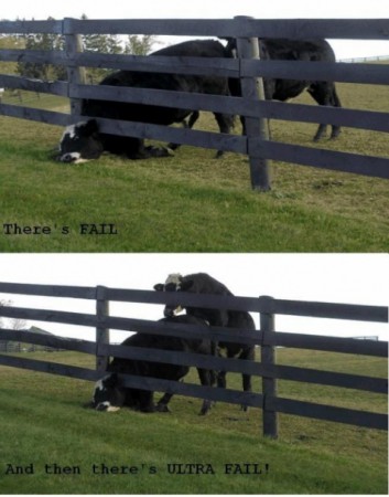 inconviniente!